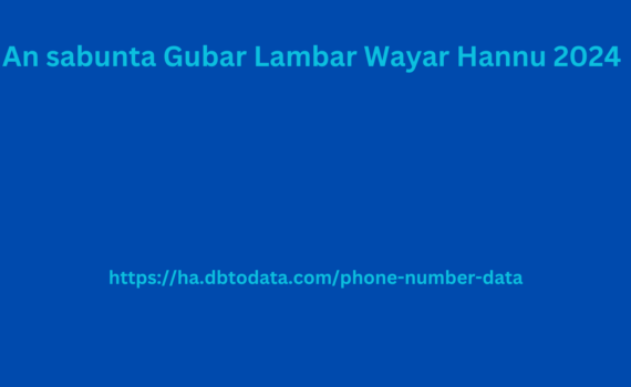 An sabunta Gubar Lambar Wayar Hannu 2024