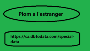 Plom a l'estranger