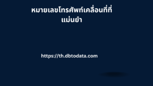 หมายเลขโทรศัพท์เคลื่อนที่ที่แม่นยำ 