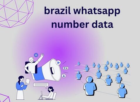 brazil whatsapp number data