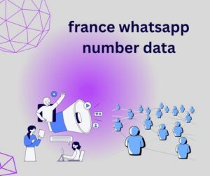 france whatsapp number data