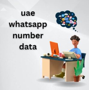 uae whatsapp number data