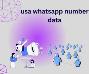 usa whatsapp number data