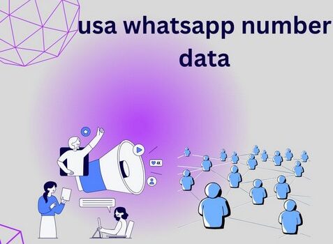 usa whatsapp number data