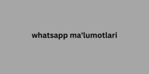 whatsapp ma'lumotlari